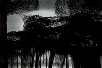 200316-2-4