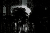 200316-2-19