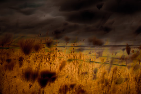 multiple exposure #5