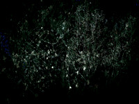 200616-3-20
