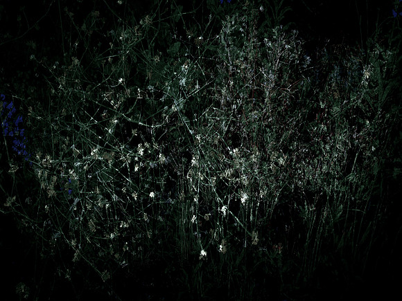 200616-3-20