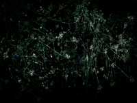 200616-3-3