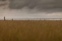 riverbank #15
