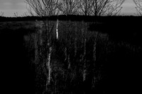 260316-1-15