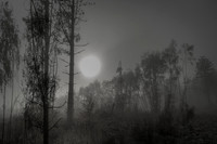 010516-1-1