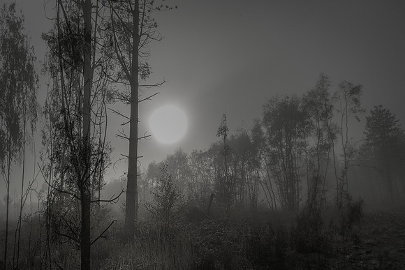 010516-1-1