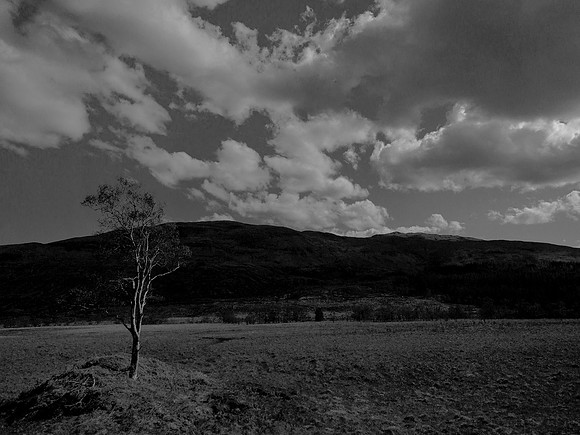 glasgow-mallaig-577