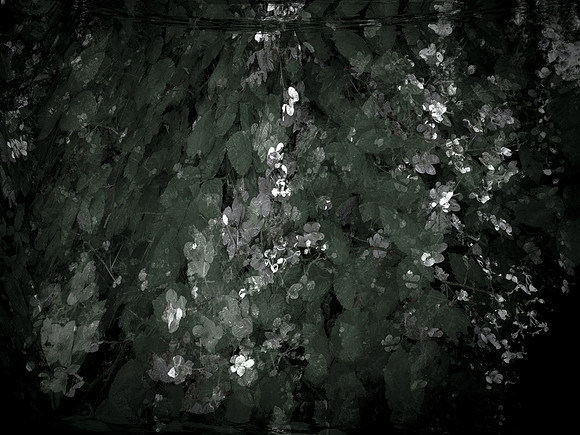 190616-12-16