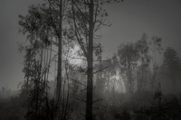 010516-1-11