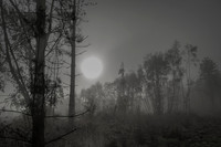 010516-1-3