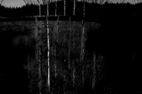 260316-1-8