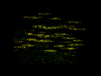 150616-5-6
