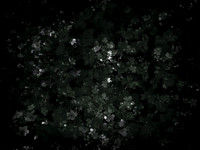 190616-9-10