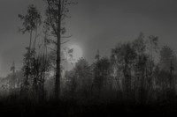 010516-1-13