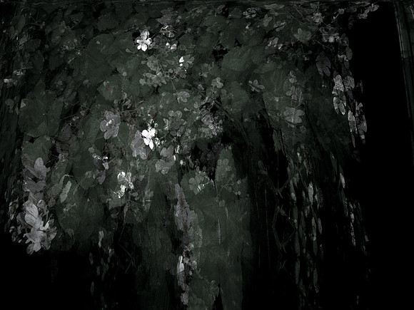 190616-12-4