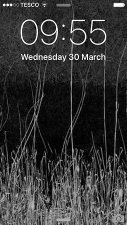 screen shot 300316