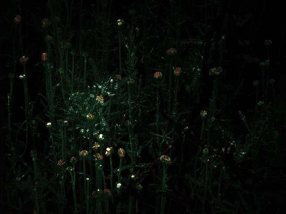 190616-4-1