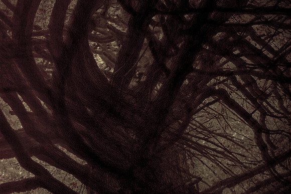 tree #1