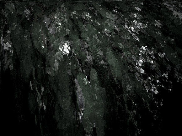 190616-12-10