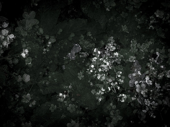 190616-9-12