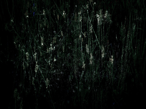 200616-3-30