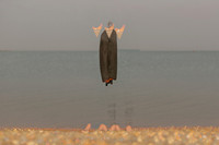 christian pacaud