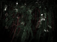 chrisfriel-memorial-5
