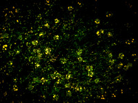 150616-3-5