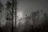 010516-1-2