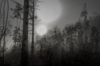 010516-1-8