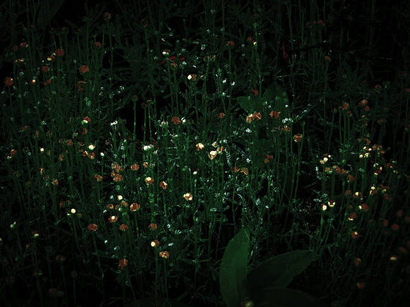 190616-4-20