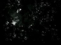 190616-9-3