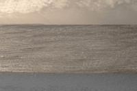 wave #231