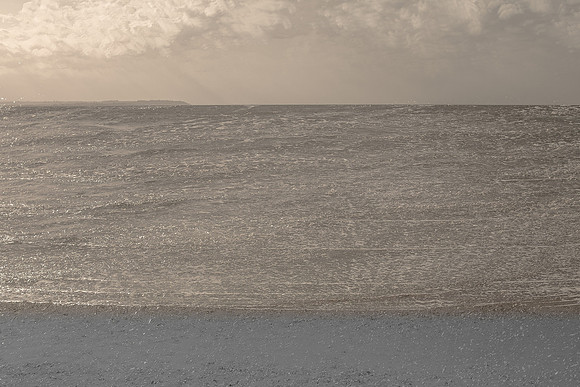 wave #231