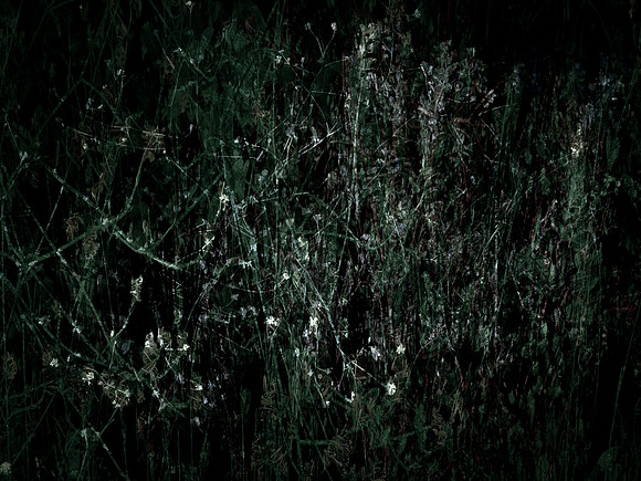 200616-3-17