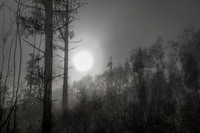 010516-1-12