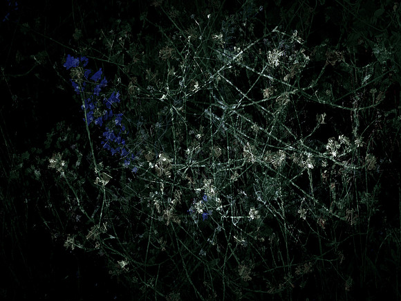 200616-3-24