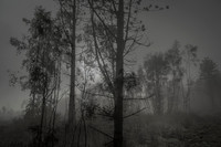 010516-1-4