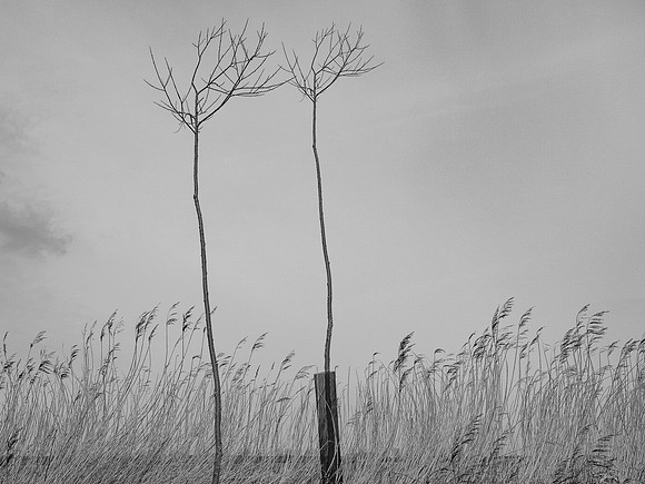 240316-1-33
