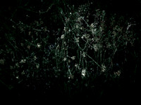 200616-3-19
