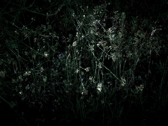 200616-3-19
