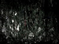270616-2-7