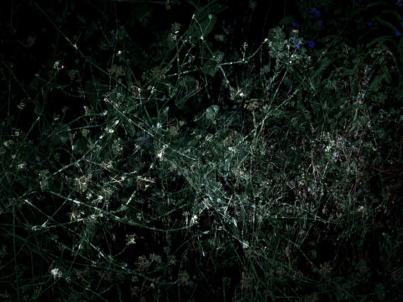 200616-3-16