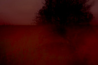 oare marshes #11