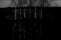 260316-1-4