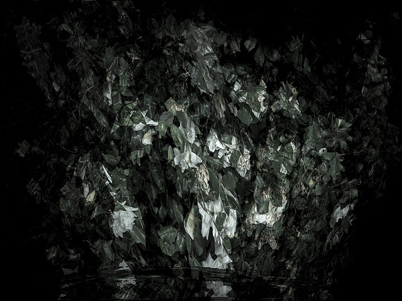 chrisfriel-memorial-11