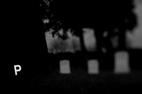 afterlife #13