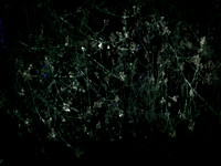 200616-3-10
