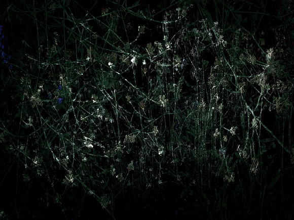 200616-3-10