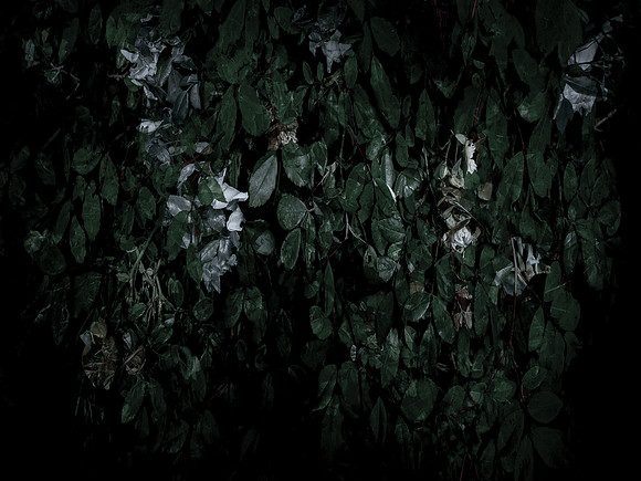 190616-6-18